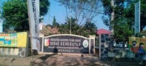 Atas Laporan Dua LSM ke Dinkes Tuba Terkait Dugaan Mall Praktek RSMB, Ini Peryataan Dinas Kesehatan Tulang Bawang
