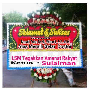 Bupati Tuba Menyandang Gelar Doctor Dapatkan Ucapan “Selamat” dari Tokoh Masyarakat Tulang Bawang