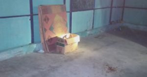 Polsek Rawa Jitu Selatan Bersama Warga Temukan Bayi Laki-laki di Dalam Kardus