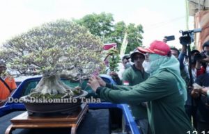 Bupati Winarti Buka Ajang Pameran Bonsai, 800 Lebih Bonsai Dipamerkan
