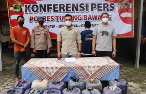 Warga Penawar Rejo Timbun 910 Liter BBM Solar dan Pertalite Ditangkap Polisi Tulang Bawang