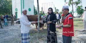 Bupati Winarti qurban 1 Ekor Sapi dihari Raya Idul Adha 1443 H/2022 M, Berikut dari OPD dan ASN Tuba