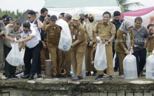 Wakili Bupati Tuba, Sekda Anthoni Hadiri Restocking 1 Juta Benih Ikan Endemik, Ini Ajakan dan Himbauan nya
