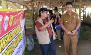 Tanggulangi penyebaran PMK Sapi, Dinas pertanian Tuba Lakukan Vaksinasi