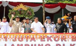 Ciptakan Lampung Tetap Berjaya di Sektor Ikan, Gubernur Arinal di Puji Sekretaris FPII Tuba