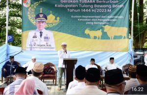 Begini Penjelasan Sekda Novriwan Jaya Terkait Pemkab Tubaba Distribusikan 163 Kambing dan 13 Sapi Kurban