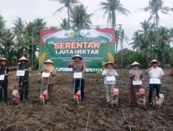 Pemkab Lamsel dan Forkopimda Tanam Jagung Serentak 1 Juta hektar