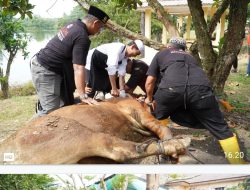 Buka Gerakan Tubaba Berkurban, Bupati Novriwan Apresiasi Kerjasama Semua Pihak