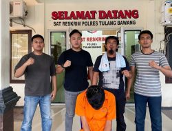GI Alias UG Ditangkap Polisi Tuba Gara-Gara Mencuri Sapi