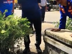 Wabup Tuba “Hankam Hasan” Ajak Masyarakat Hidup Bersih dan Sehat 